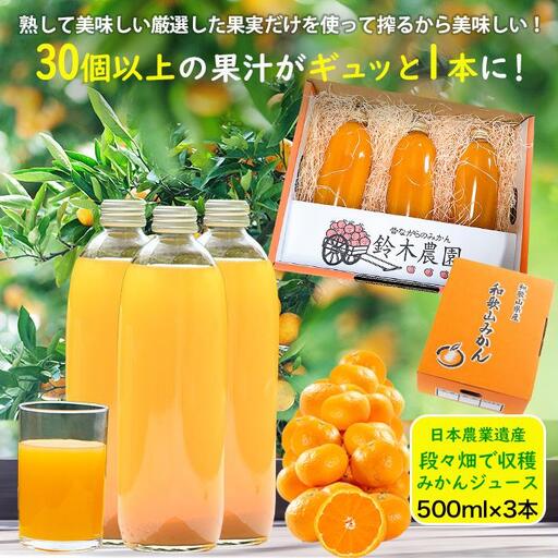 みかんジュース 濃厚 みかんジュース 500ml×3本