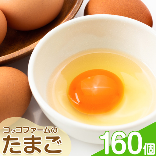 コッコファームのたまご 160個 コッコファーム《90日以内に出荷予定(土日祝除く)》熊本県 菊池市 卵 鶏卵 玉子 たまご 家庭用 熊本県産 九州産 冷蔵 送料無料