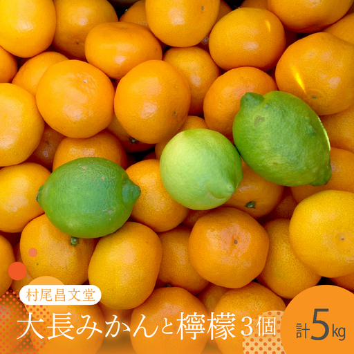 [先行受付][2026年12月上旬〜発送]広島 大長みかんと大長檸檬3個セット 5kg ku012-010-26