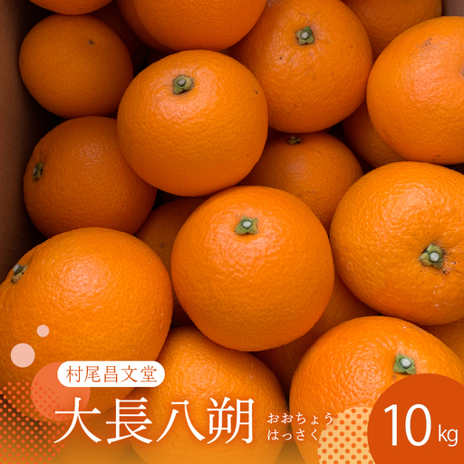 [先行受付][2027年2月上旬〜発送]瀬戸内 大崎下島産 大長八朔 10kg 柑橘 かんきつ はっさく 産地直送 お取り寄せ ジューシー 広島県 呉市 ku012-011-26