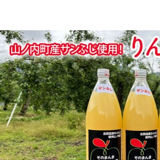 山ノ内町産サンふじ使用!りんごジュース 1000cc×3本セット 果汁飲料 アップルジュース フルーツジュース ソフトドリンク 山ノ内町産りんご サンふじ100%
