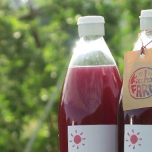 【完全無添加】【安心安全】【こだわりの搾汁製法】種あり巨峰ジュース300ml×4本セット【栽培期間中 除草剤・ネオニコチノイド系農薬・化学肥料不使用】 果実飲料 フルーツジュース 飲み物 グレープジュース