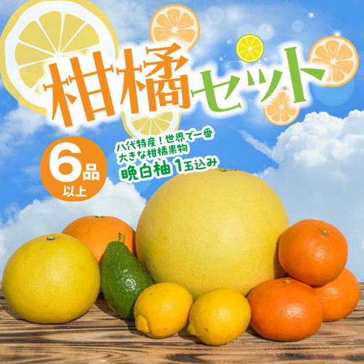 【先行予約】 柑橘セット 6品以上(晩白柚1玉込み) ばんぺいゆ 柑橘 【2026年12月上旬より順次発送】