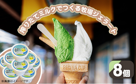 搾りたてミルクでつくるジェラート8個セット（徳山牧場アイス工房）
