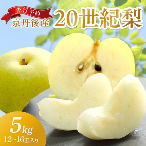 【先行予約】京丹後産 20世紀梨 5kg | 梨（2026年9月上旬～発送）