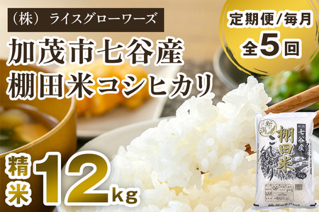 【令和7年産】【定期便5ヶ月毎月お届け】七谷産 棚田米コシヒカリ 精米12kg（5kg×2＋2kg×1）《順次出荷》 白米 （株）ライスグローワーズ