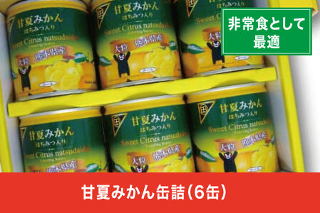 B206-09 甘夏みかん缶詰(6缶入)