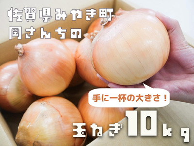 BE031_佐賀県みやき町岡さんちのたまねぎ10kg【２L、３Lサイズ】