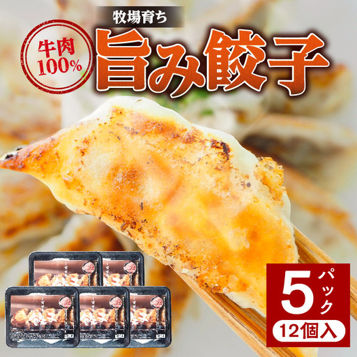 牧場育ち 牛肉100％旨み餃子（餃子12個パック×5） 餃子 ぎょうざ 惣菜 牛肉
