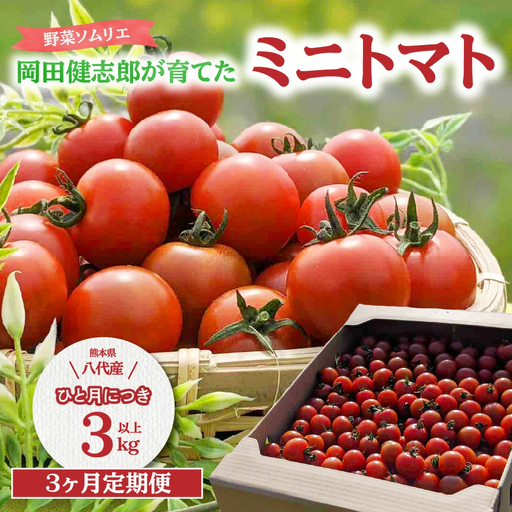 トマト 【先行予約】 【定期便3回】 野菜ソムリエ 岡田健志郎が育てた　ミニトマト 3kg以上 【2026年12月上旬より順次発送】 トマト
