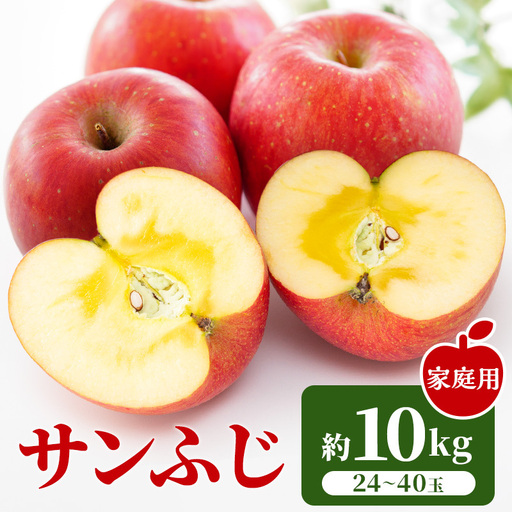 りんご サンふじ 約10kg 24〜40玉入 リンゴ