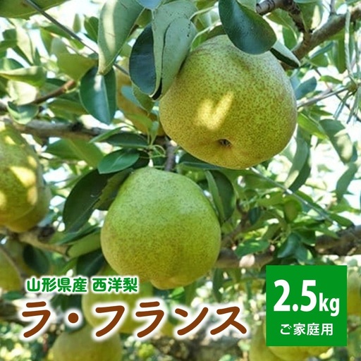 西洋梨（ラ・フランス）２.５ｋｇ　ご家庭用　0012-2612