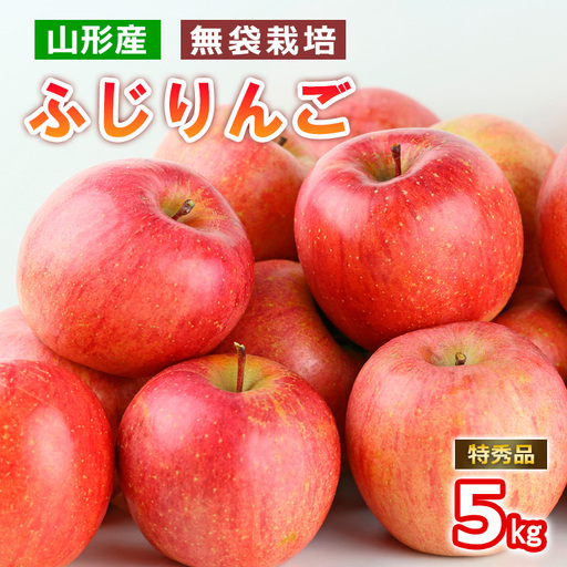 山形産無袋栽培ふじりんご特秀5kg【令和8年産先行予約】FS25-772