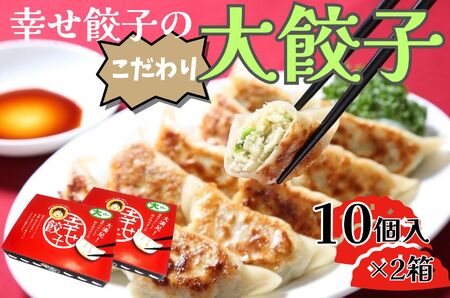 幸せ餃子 ボリューム満点こだわり大餃子(10個入2箱)