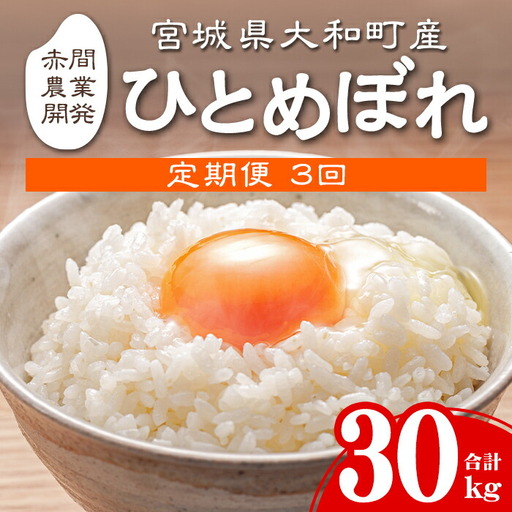 ＜6か月定期便＞ひとめぼれ 60kg お米 おこめ 米 コメ 白米 ご飯 ごはん おにぎり お弁当 宮城産 頒布会【赤間農業開発株式会社】ta301