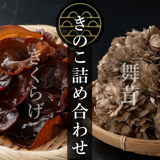七つ森ふもと舞茸  詰め合わせギフトセット Mサイズ まいたけ マイタケ きくらげ きのこセット 農家直送 天ぷら すき焼き 炊き込みご飯 宮城県産 ギフト 詰め合わせ【株式会社七つ森ふもと舞茸】ta326