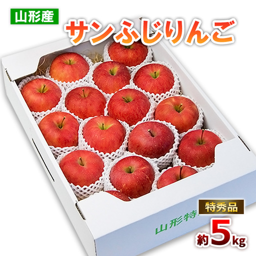 山形のサンふじりんご 特秀品 約5kg(10～25玉)【令和8年産先行予約】FS25-789