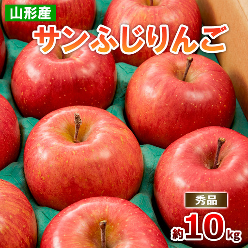 山形のサンふじりんご 約10kg 秀品(20～50玉)【令和8年産先行予約】FS25-790