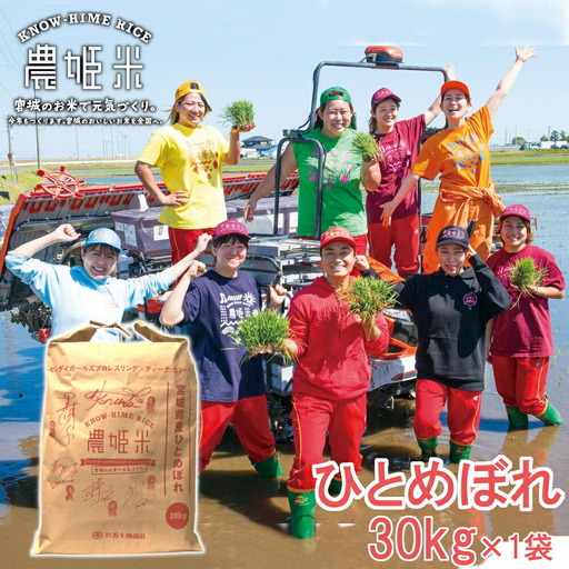 令和4年産農姫米(ひとめぼれ) 30kg×1袋 お米 おこめ 米 コメ 白米 ご飯 ごはん おにぎり お弁当 のうひめまい【株式会社五十嵐商会】ta207