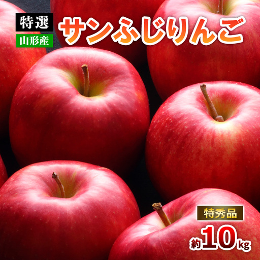 【特選】山形のサンふじりんご 約10kg 特秀品(20～50玉)【令和8年産先行予約】FS25-791