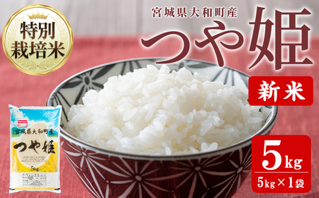 [令和8年産 新米]特別栽培米 つや姫 5kg お米 おこめ 米 コメ 白米 ご飯 ごはん おにぎり お弁当[農事組合法人若木の里]ta536