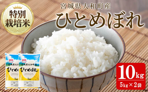 【令和8年産 新米】特別栽培米 ひとめぼれ 10kg お米 おこめ 米 コメ 白米 ご飯 ごはん おにぎり お弁当【農事組合法人若木の里】ta531