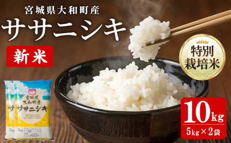 【令和8年産 新米】特別栽培米 ササニシキ 10kg お米 おこめ 米 コメ 白米 ご飯 ごはん おにぎり お弁当【農事組合法人若木の里】ta534