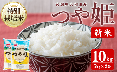 【令和8年産 新米】特別栽培米 つや姫 10kg お米 おこめ 米 コメ 白米 ご飯 ごはん おにぎり お弁当【農事組合法人若木の里】ta537