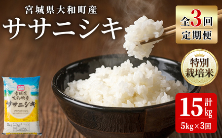 [令和8年産][3か月定期便]特別栽培米 ササニシキ 5kg×3回(合計15kg) お米 おこめ 米 コメ 白米 ご飯 ごはん おにぎり お弁当 頒布会[農事組合法人若木の里]ta543