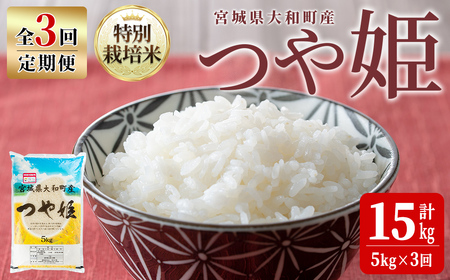 【令和8年産】＜3か月定期便＞特別栽培米 つや姫 5kg×3回(合計15kg) お米 おこめ 米 コメ 白米 ご飯 ごはん おにぎり お弁当 頒布会【農事組合法人若木の里】ta547