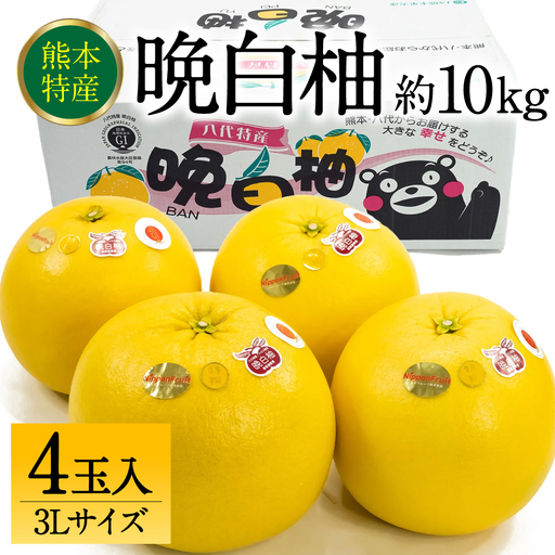 【先行予約】 晩白柚 ばんぺいゆ 3Lサイズ 4玉 約10kg 晩白柚 柑橘 【2026年12月上旬より順次発送】