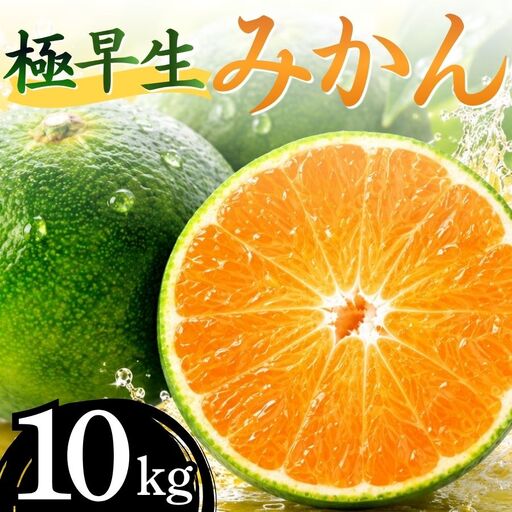 湯の花　極早生温州みかん10kg箱　【 極早生 】