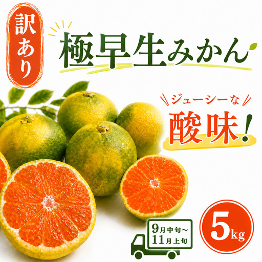 [先行予約]訳あり 極早生みかん 5kg | 温州みかん みかん 蜜柑 ミカン 柑橘 緑のみかん 酸っぱい 酸味 家庭用 秋の味覚 旬 ごくわせ フルーツ 果物 くだもの 産地直送 数量限定 期間限定 人気 おすすめ 国産 高知県 室戸市