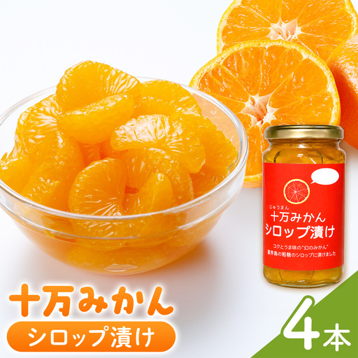 十万みかん シロップ漬け 170g 4本 田野農園[30日以内に出荷予定(土日祝除く)]鹿児島県 さつま町