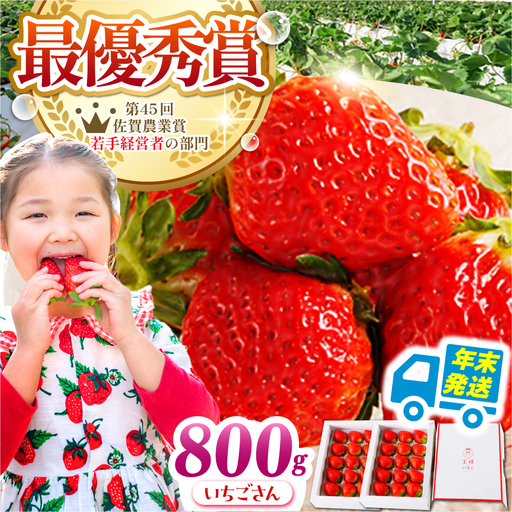 【先行予約】【農薬0への挑戦】【年末発送】いちごさん王様のいちご400g×2箱【むらおか農園】HAF028 果物 フルーツ