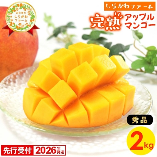 【先行受付】【2026年発送】しらかわファームのアップルマンゴー 秀 約2kg - 先行予約 沖縄 産地直送 南国フルーツ 旬の味覚 旬のフルーツ 贈り物 ギフト 沖縄県 八重瀬町