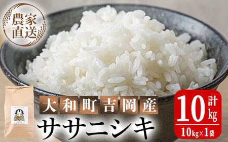 [令和8年産 新米]お米農家直送!ササニシキ 10kg お米 おこめ 米 コメ 白米 ご飯 ごはん おにぎり 宮城米 ささにしき 令和8年産 お弁当 [お米農家ろくすみファーム]