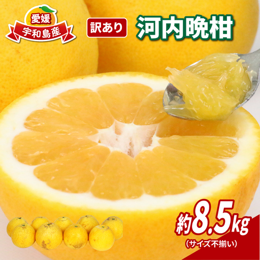 訳あり 河内晩柑 約 8.5kg サイズ不揃い NBU 柑橘 B012-058010