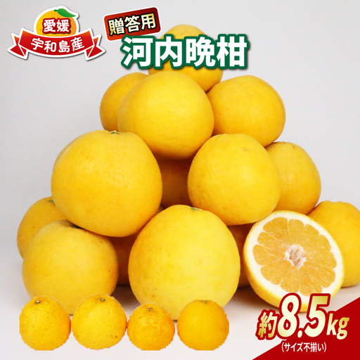 河内晩柑 贈答用 約 8.5kg 不揃い NBU 不揃い B018-058013