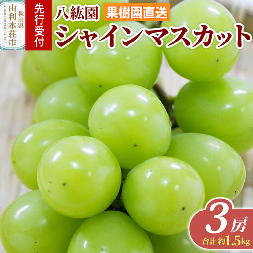 [先行受付]シャインマスカット 3房(合計 約1.5kg)秋田県 由利本荘市産 八紘園