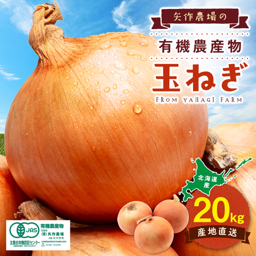 [先行受付]R8年産 有機栽培玉ねぎ 20kg | 玉ねぎ たまねぎ タマネギ 玉葱 大容量 オニオン 甘い 有機栽培 国産 産地直送 カレー ハンバーグ 煮込み 炒め物 北海道 津別町 送料無料
