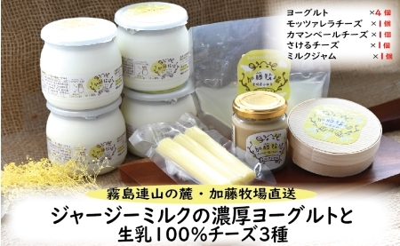 [霧島連山の麓・加藤牧場直送]ジャージーミルクの濃厚ヨーグルトと生乳100%チーズ3種(国産 ナチュラルチーズ ヨーグルト 乳製品 牛乳 チーズ コンテスト受賞 人気 霧島 宮崎 小林市 地域限定)