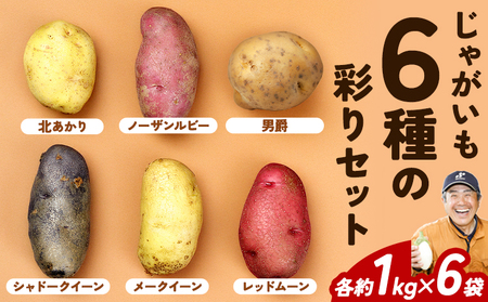 じゃがいも6種の彩りセット 1kg × 6袋 じゃがいも メークイン キタアカリ 男爵 シャドークイーン ノーザンルビー レッドムーン