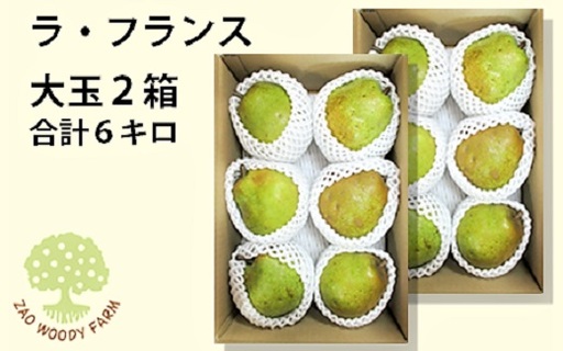 西洋梨(ラフランス) 6kg 大玉 ご家庭用 0062-2605