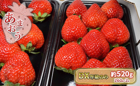 いちご あまおう DX 等級のみ 約520g（260g×2パック）東北 いちご