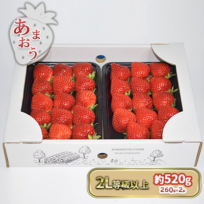 いちご あまおう 2L以上 約520g（260g×2パック）配送不可 北海道 東北 沖縄 離島 
