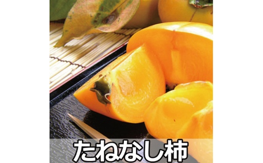 採れたてタネなし柿“Lサイズ"7.5kg[2026年10月中旬〜10月下旬頃発送予定][ART17][art001B]
