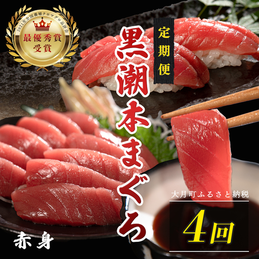 訳あり 不定貫 定期便4回 日本一!黒潮本まぐろ 赤身 (PT0080_0522)