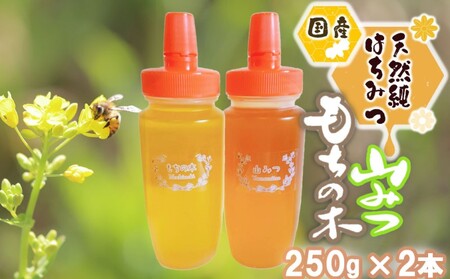 はちみつ 国産天然 純はちみつ もちのき やまみつ はちみつ【250g×2本】