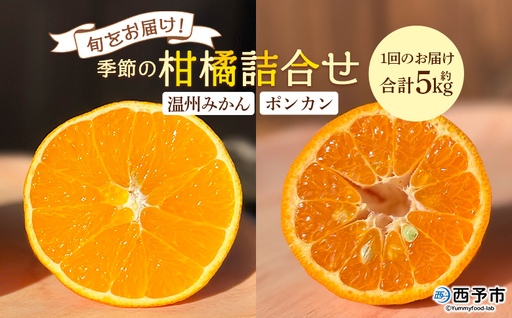 [旬をお届け!季節の柑橘 2回定期便(温州みかん約3kg・ポンカン約2kg)]ミカン ぽんかん 蜜柑 果物 果実 フルーツ お楽しみ 2種類 食べ比べ 手軽 特産品 国産 愛媛県 西予市[常温]『1回目:2026年11月中旬〜/2回目:2027年1月下旬〜に順次出荷予定』ANS0017